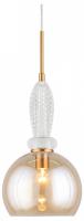 AP_APL.304.16.01_jpg