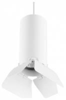 LS_RP486436_jpg