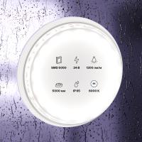 element_10173_w_standard_(2)