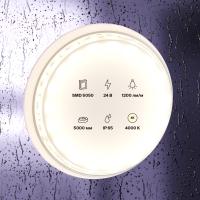 element_10172_w_standard_(2)