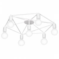 EG_97896_jpg