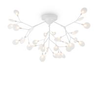 FR5049CL-36W1_jpg