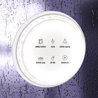 element_10133_w_standard_(2)