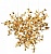 LF_10101_3_Gold_jpg