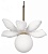 LF_10213_B_White_jpg