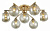 RVL_B0051269_jpg
