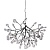 EVITA SP63 BLACK/TRANSPARENT_jpg