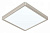 EG_99254_jpg