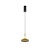 RENDER_MOD041PL-L15G3K_on_w_standard_(2)