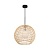 RENDER_MOD204PL-01BG_on_w_standard_(1)