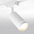 ELK_a044000_jpg