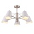 FR5037PL-05S_jpg